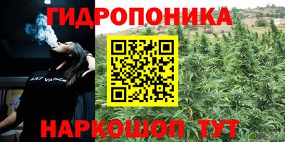 apvp Будённовск